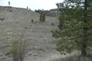 11 Tbd Six Gun Way, Tonasket, WA 98855 - Photo 1