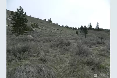 11 Tbd Six Gun Way, Tonasket, WA 98855 - Photo 5