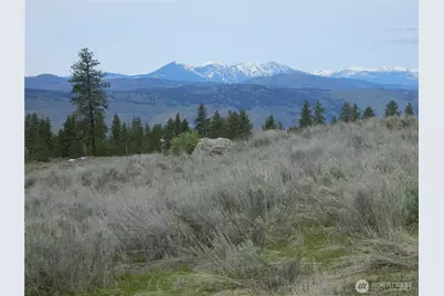 0 Tbd Six Gun Way, Tonasket, WA 98855 - Photo 5