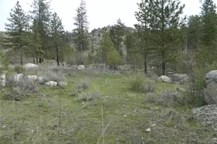 0 Tbd Six Gun Way, Tonasket, WA 98855 - Photo 1