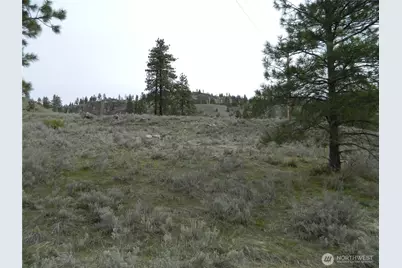 0 Tbd Six Gun Way, Tonasket, WA 98855 - Photo 3