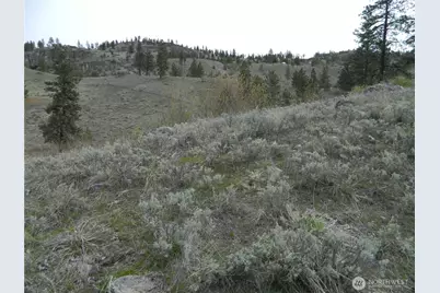 0 Tbd Six Gun Way, Tonasket, WA 98855 - Photo 9