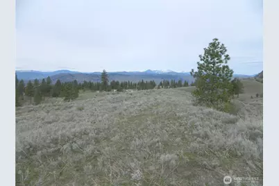 0 Tbd Six Gun Way, Tonasket, WA 98855 - Photo 11