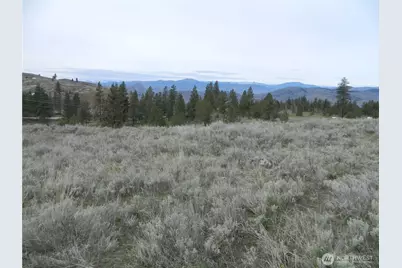 0 Tbd Six Gun Way, Tonasket, WA 98855 - Photo 13