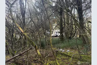 142 Xxx 142nd Lane, Long Beach, WA 98631 - Photo 7