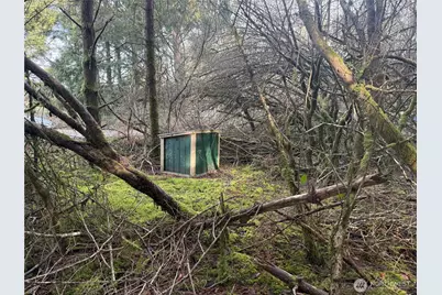 142 Xxx 142nd Lane, Long Beach, WA 98631 - Photo 3