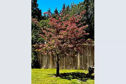 13706 31st Drive SE, Mill Creek, WA 98012 - Photo 31