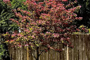 13706 31st Dr SE, Mill Creek, WA 98012 - Photo 31