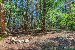 569 Island Dr, Friday Harbor, WA 98250 - Photo 35