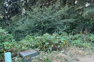 0 NE Wanda Ct Lot 28, Belfair, WA 98528 - Photo 1