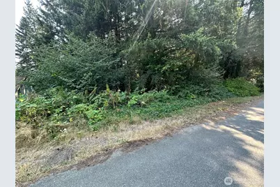 0 Lot 28 NE Wanda Court, Belfair, WA 98528 - Photo 3