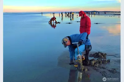317 Sand Dune Avenue NW, Ocean Shores, WA 98569 - Photo 11
