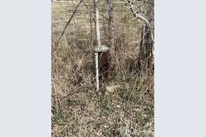 50 Cherokee Road, Omak, WA 98841 - Photo 29