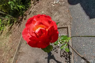 2925 87th Ave Ct E, Edgewood, WA 98371 - Photo 25