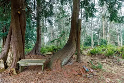 1140 Sherwood Lane, Greenbank, WA 98253 - Photo 33