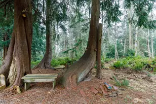 1140 Sherwood Ln, Greenbank, WA 98253 - Photo 33