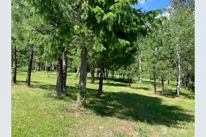 35 Low Ridge Road, Malo, WA 99150 - Photo 33