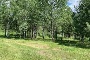 35 Low Ridge Rd, Malo, WA 99150 - Photo 31