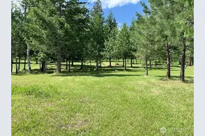 35 Low Ridge Road, Malo, WA 99150 - Photo 35