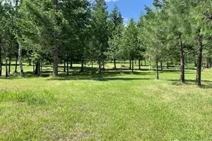 35 Low Ridge Rd, Malo, WA 99150 - Photo 35