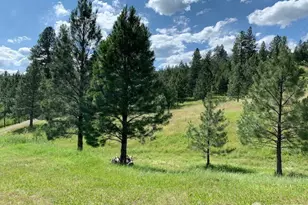 35 Low Ridge Rd, Malo, WA 99150 - Photo 29