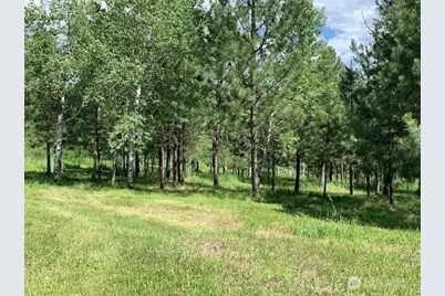 35 Low Ridge Road, Malo, WA 99150 - Photo 29