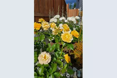 17715 2nd Avenue W, Bothell, WA 98012 - Photo 33