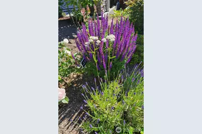 17715 2nd Avenue W, Bothell, WA 98012 - Photo 31