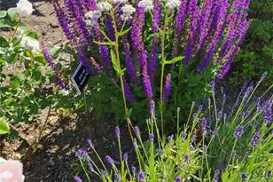 17715 2nd Ave W, Bothell, WA 98012 - Photo 31