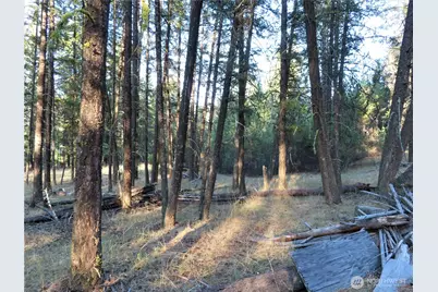 0 Toroda Creek Road, Curlew, WA 99118 - Photo 25