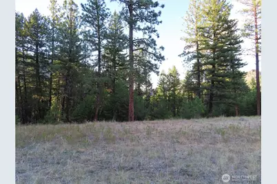 0 Toroda Creek Road, Curlew, WA 99118 - Photo 19