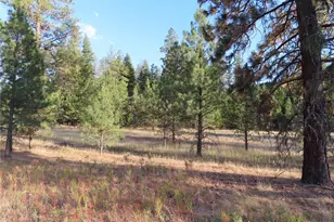 0 Toroda Creek Rd, Curlew, WA 99118 - Photo 1