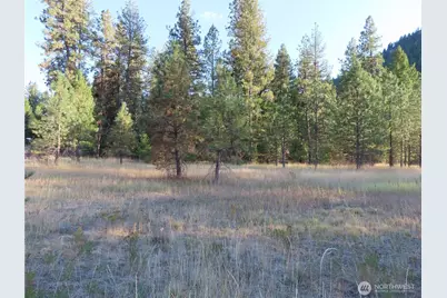 0 Toroda Creek Road, Curlew, WA 99118 - Photo 9