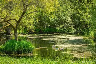 1744 Gasman Rd, Port Angeles, WA 98362 - Photo 35