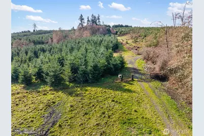 0 Xxx Hale Road, Winlock, WA 98596 - Photo 23