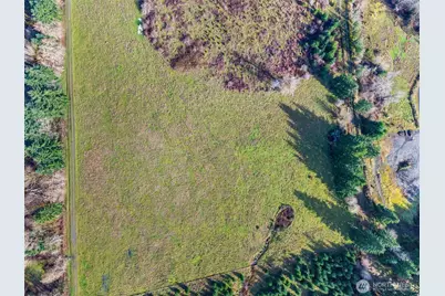 0 Xxx Hale Road, Winlock, WA 98596 - Photo 13