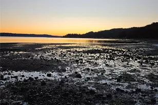 150 NE Dulalip Landing, Belfair, WA 98528 - Photo 33