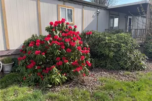 380 E Pole Rd, Lynden, WA 98264 - Photo 9