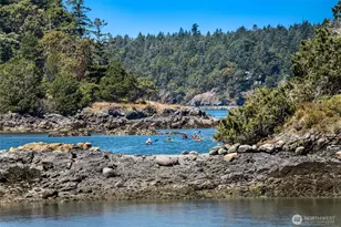 512 Broken Point Rd, Shaw Island, WA 98286 - Photo 19