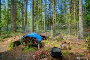 33 2 Wilderness Way, Deming, WA 98244 - Photo 21