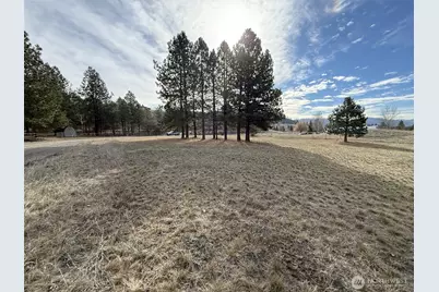 0 Lot 55 Heron Loop Road, Republic, WA 99166 - Photo 13