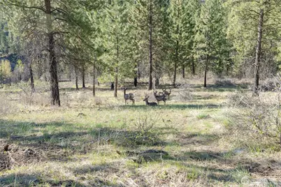 241 Chickadee Mountain Lane, Chelan, WA 98816 - Photo 29