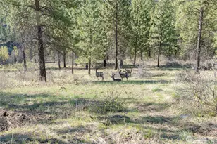 241 Chickadee Mountain Ln, Chelan, WA 98816 - Photo 29