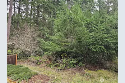 11005 Pioneer Drive, Anderson Island, WA 98303 - Photo 3