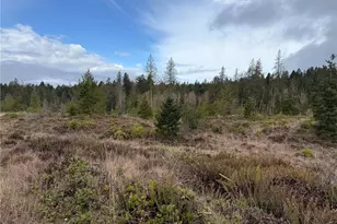 1422 E Sequim Bay Rd, Sequim, WA 98382 - Photo 17