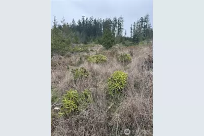 1422 E Sequim Bay Road, Sequim, WA 98382 - Photo 9