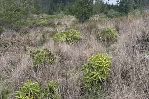 1422 E Sequim Bay Rd, Sequim, WA 98382 - Photo 9