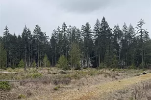 1422 E Sequim Bay Rd, Sequim, WA 98382 - Photo 3