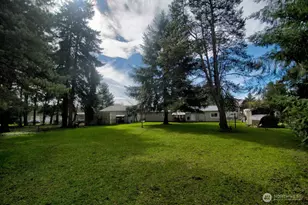 18434 Apricot St SW, Rochester, WA 98579 - Photo 25