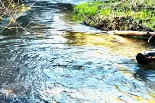 706 Falls Rd, Randle, WA 98377 - Photo 35